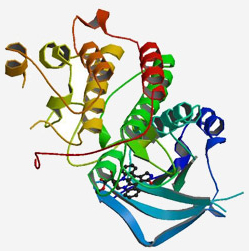Creabilis pipeline